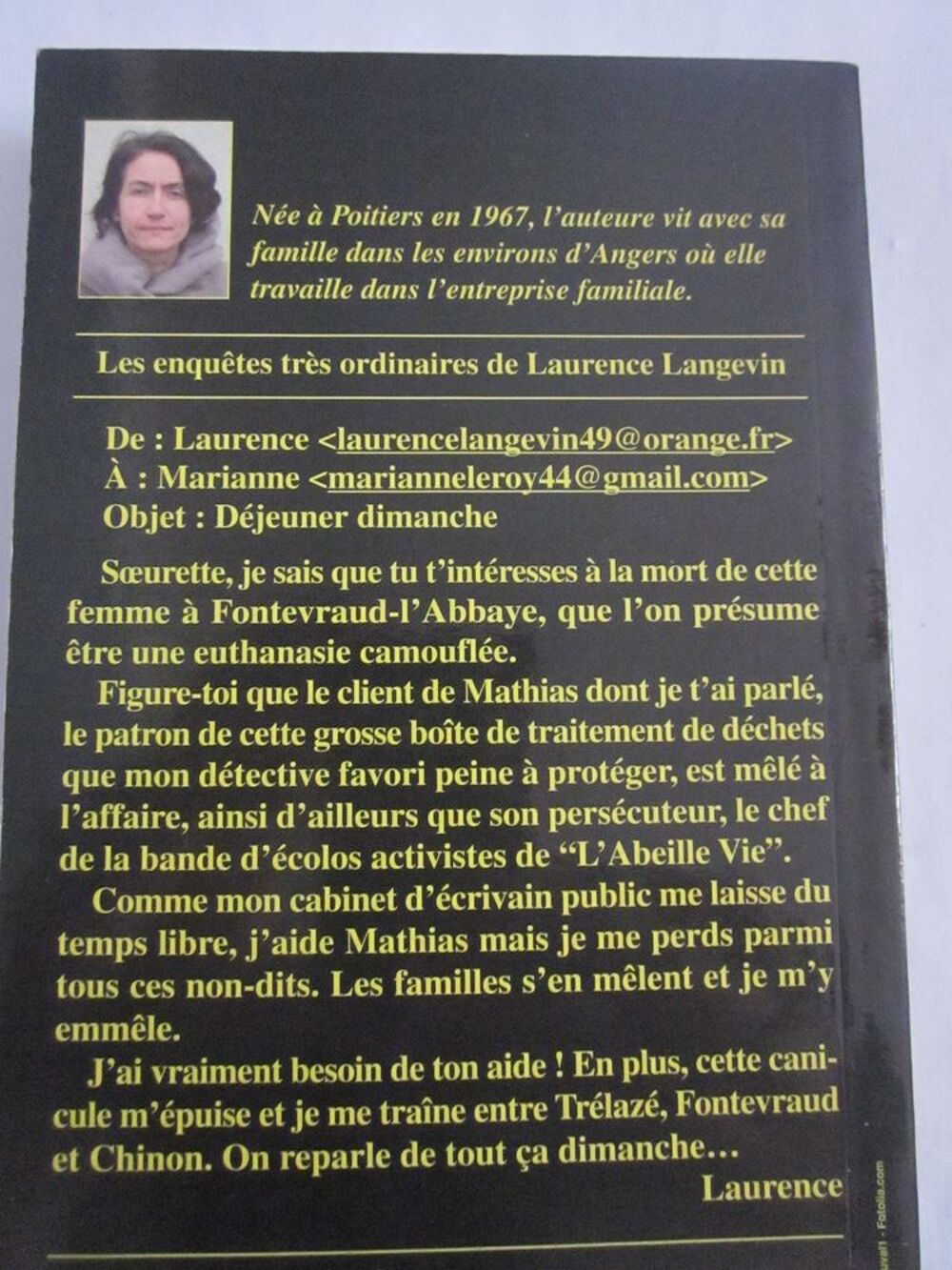 L ' ABEILLE DE FONTEVRAUD roman policier BARGAIN Livres et BD
