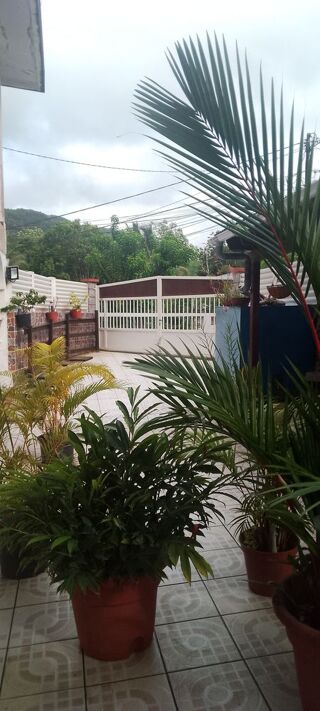 Location  Appartement 