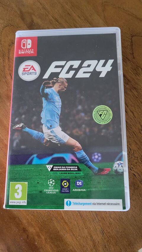 Jeu Nintendo 12 Porto-Vecchio (20)