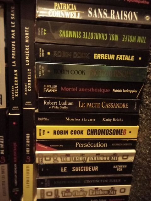LOT DE 160 LIVRES THRILLERS, ROMANS NOIRS, GRAND FORMAT 320 Toulouse (31)