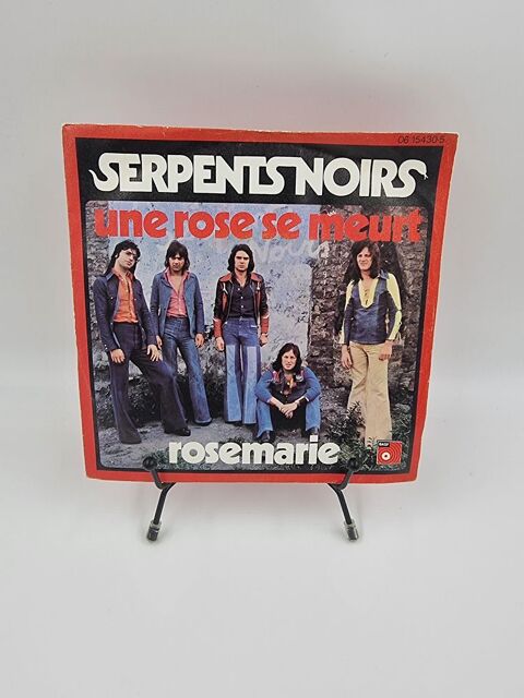 Vinyle 45 tours Serpents Noirs : Rosemarie / Une Rose se... 1 Vulbens (74)