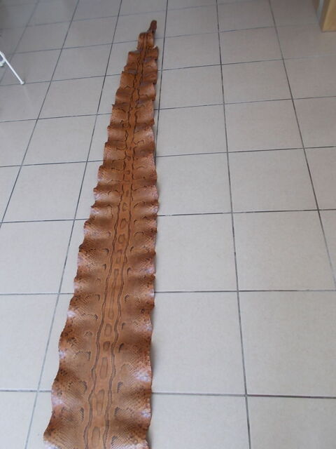 Véritable PEAU/CUIR DE PYTHON AFRICAIN de 3,40 m - Envoi ok 110 31220 Cazres