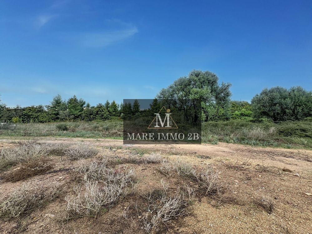 Vente Terrain Terrain constructible de 978m² hors lotissement Calvi
