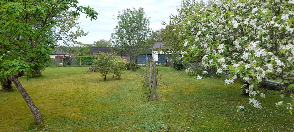 Vente Terrain Terrain 1050 m2 COUZEIX Couzeix