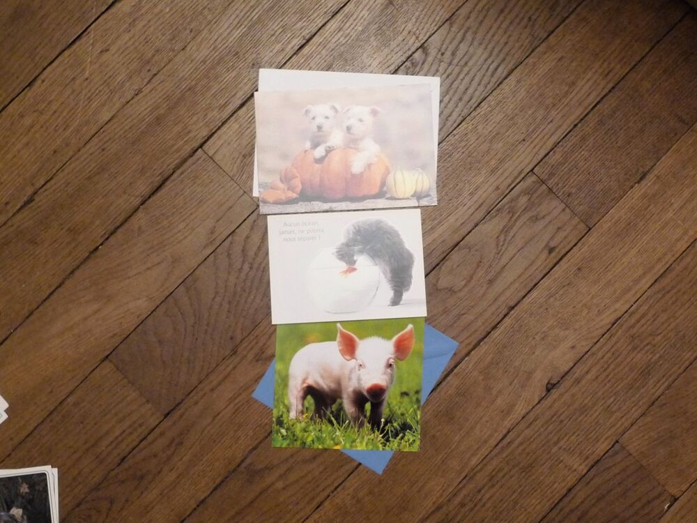 8 Cartes Postales Animaux et Paysages Mer- Neuf 