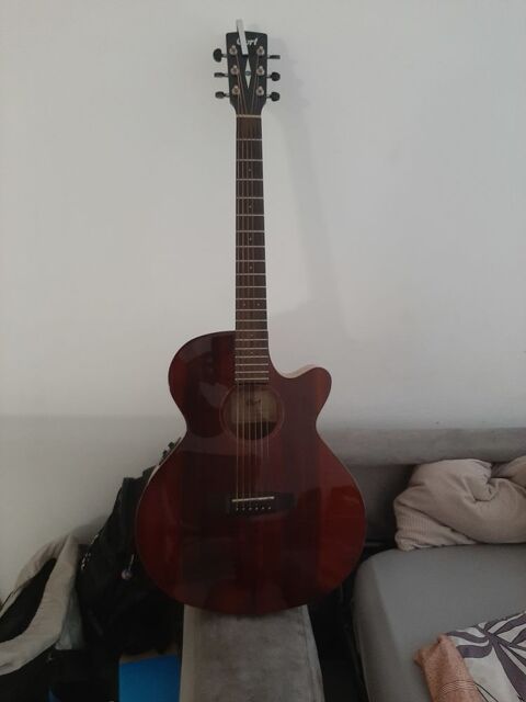 Cordialement Myrtlewood lectro-acoustique 380 guilles (13)