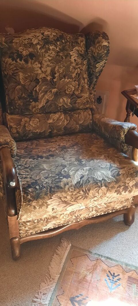 Fauteuil Louis xv 100 Caug� (27)