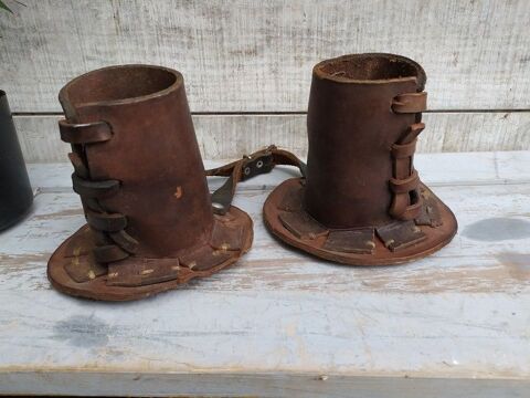 Prot�ge Cornes Cuir Vaches Bovins Bourrellerie Vieux M�tiers 1 Loches (37)