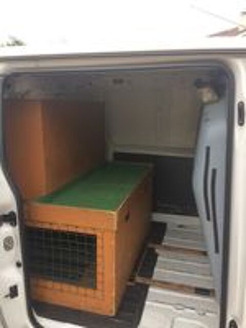   Caisse pour transport de chien 