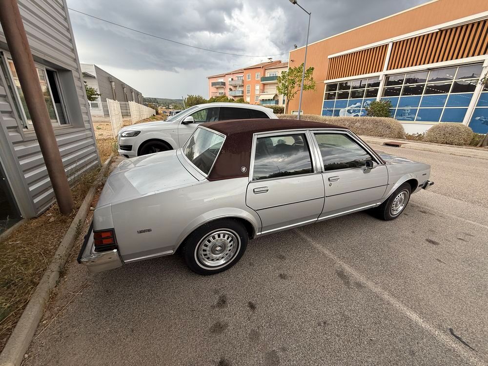 Divers SKYLARK 1981 occasion 83550 Vidauban