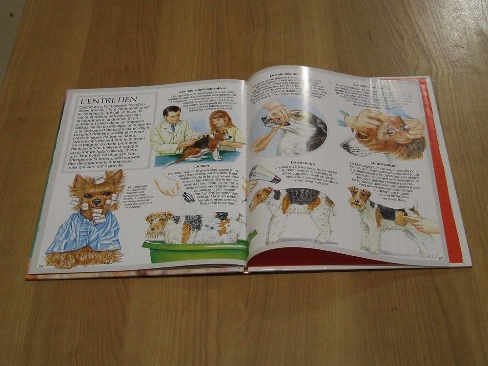 Livre, Les chiens, de Emilie Beaumont, TBE Livres et BD