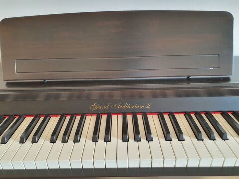 Piano numérique Hohner 200 Soisy-sur-Seine (91)