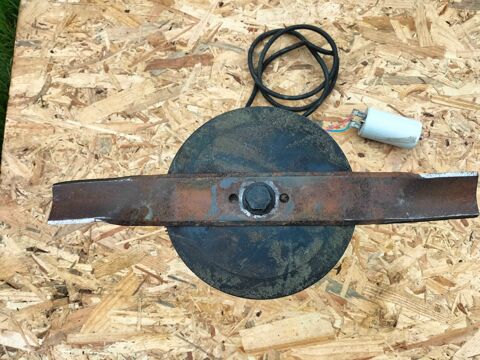 moteur tondeuse �lectrique 35 Beauvoir (50)