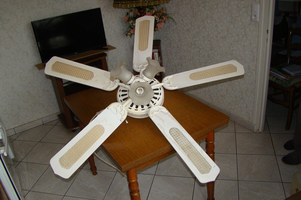 Ventilateur de plafond Guibb vintage
Dcoration