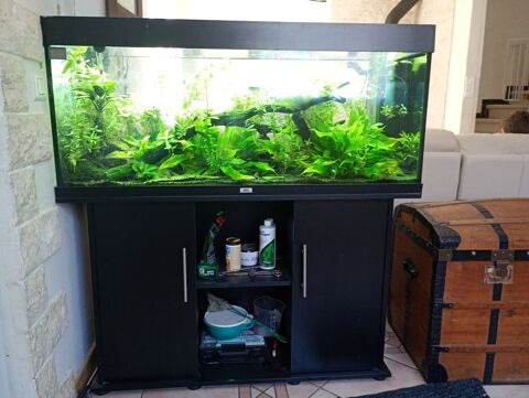 Juwel rio 240 l + meuble+ filtration 250 66600 Rivesaltes