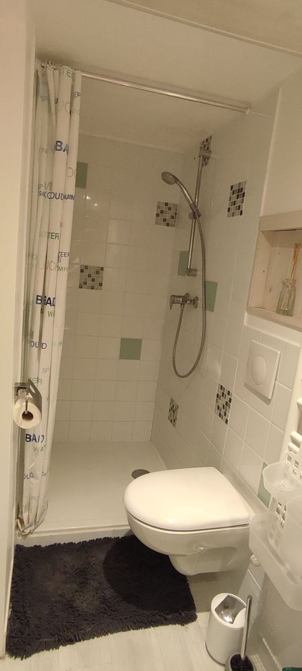 Location Colocation Chambre 13 m² accès privé, meublée,cuisine & SdB. Saint-alban-leysse