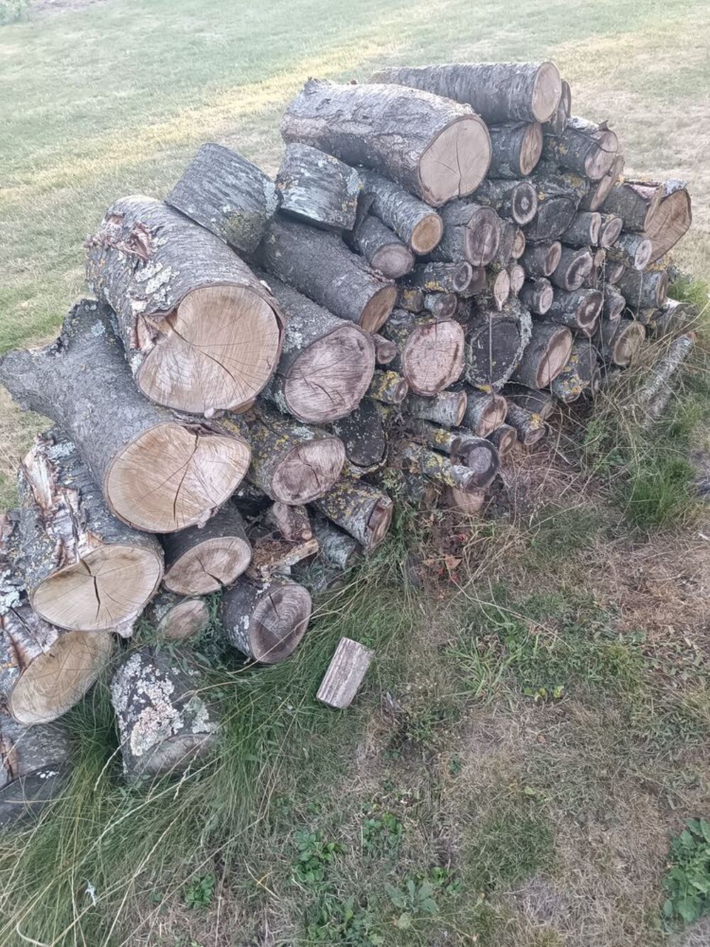 Bois de chauffage Jardin