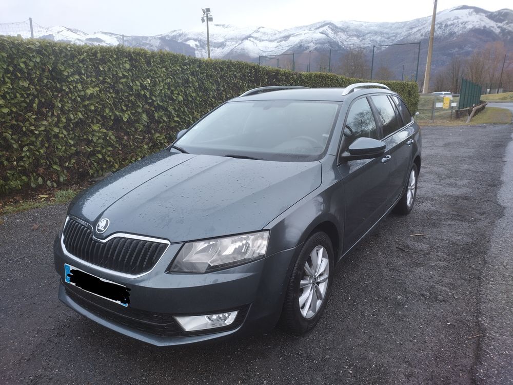 Octavia Combi 1.6 TDI 105 ch CR FAP Green Tec Business Plus DSG 2014 occasion 65400 Argel&egrave;s-Gazost
