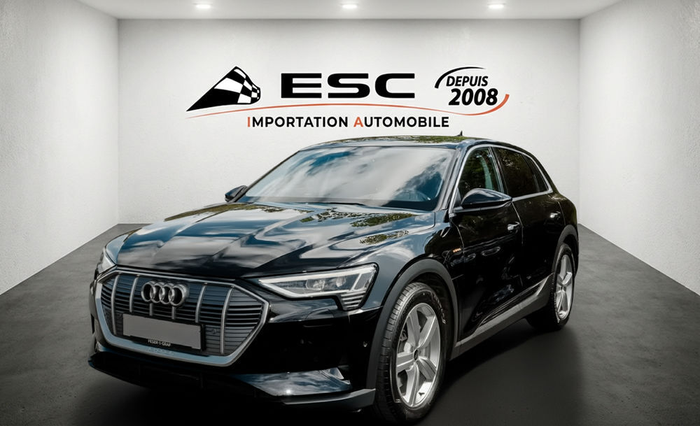 E-TRON e-tron 50 quattro 313 ch 2022 occasion 59000 Lille
