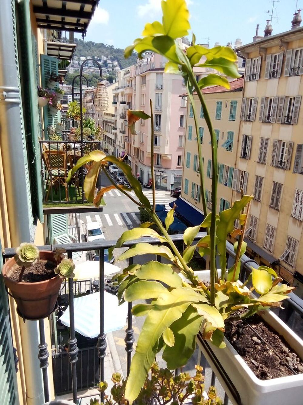 Vente Appartement Particulier appartement Nice Port prox Vieux Nice Nice