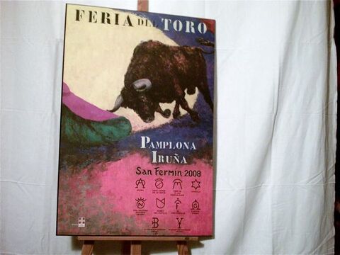 PAYS-BASQUE : PAMPELUNE :  FERIA DEL TORO 2008  85 Anglet (64)