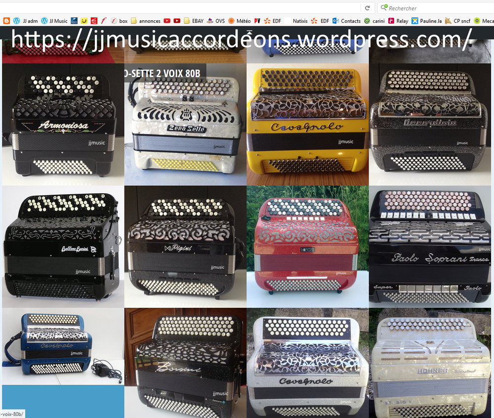 plusieurs accord&eacute;ons chromatques et diatoniques d'occasion Instruments de musique