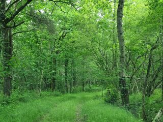  Terrain � vendre 80 m�