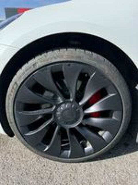 Model 3 MODEL 3 Performance AWD 2022 occasion 94600 Choisy-le-Roi