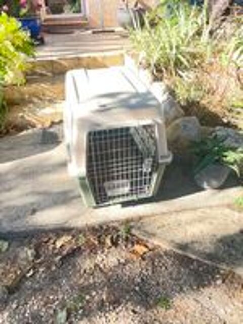   Caisse de transport pour chien, 90 cm 