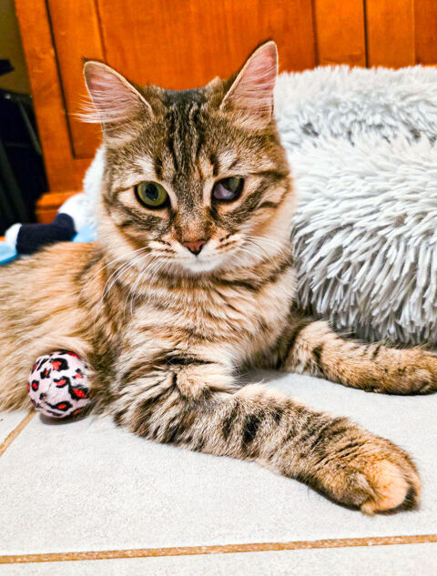 IZETTE 1 26290 Donz�re