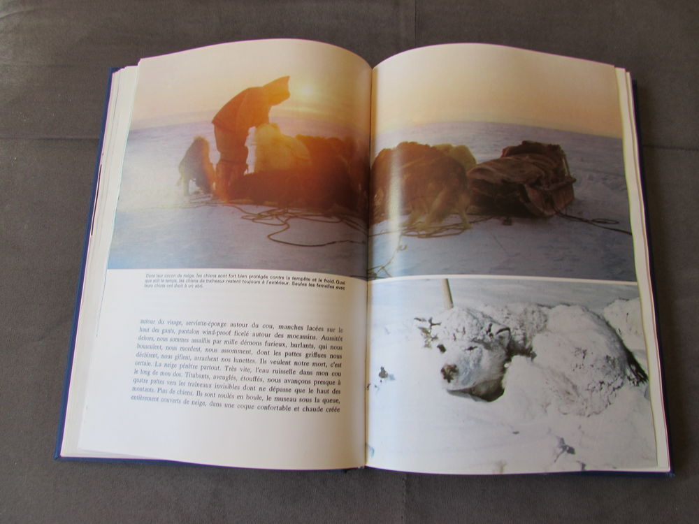 Chiens de Tra&icirc;neaux Livres et BD