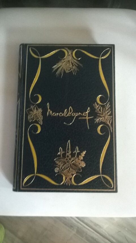 Livre sur Marcel Pagnol de 1973 REGAIN
Excellent etat
Illu 7 Talange (57)