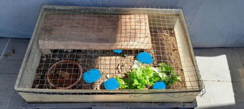 TERRARIUM POUR REPTILES 13500 Martigues