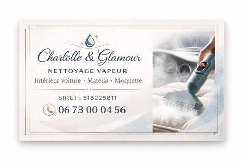 nettoyage int&eacute;rieur voiture matelas canap&eacute; 0 30000 N�mes