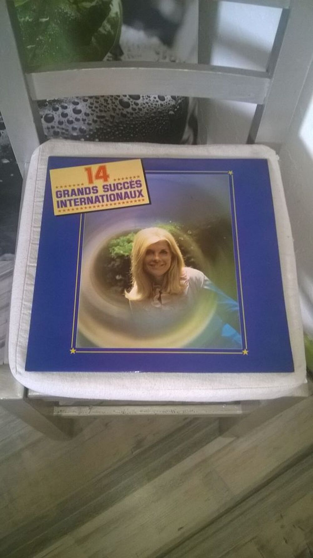 Vinyle 14 Grands Succes Internationaux
1984
Bon etat
The CD et vinyles