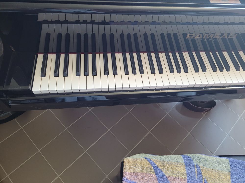 piano 1/4 de queue Instruments de musique