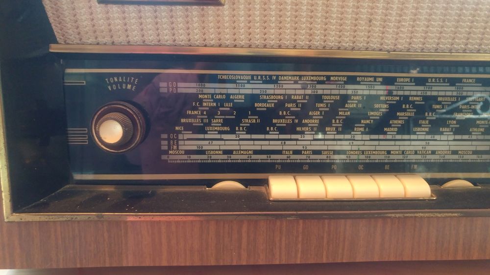 TSF Acer multiplex UKW163 1963 