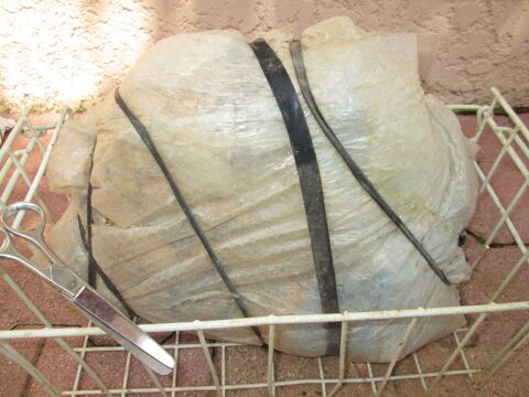 Septaria 70 Frjus (83)