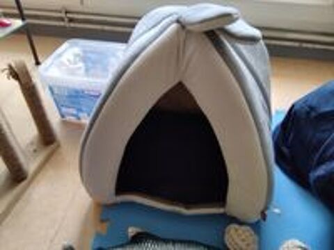   Divers accessoires pour chat ? ou petit chien ? 