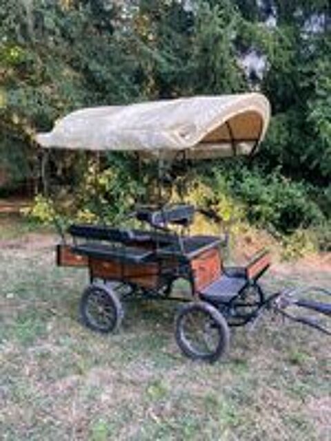   Calèche wagonnette 1 ou 2 poneys avec bâche 