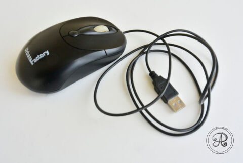 Souris informatique 3 Castelnaudary (11)
