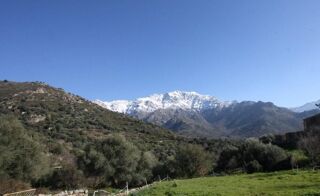  Terrain à vendre 3400 m² Calvi