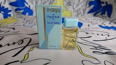 MINIATURE DE PARFUM 4 Trouy (18)