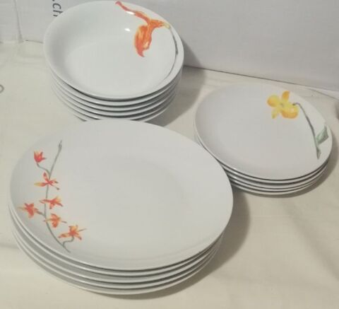 Service vaiselle porcelaine fine 15 Cranves-Sales (74)