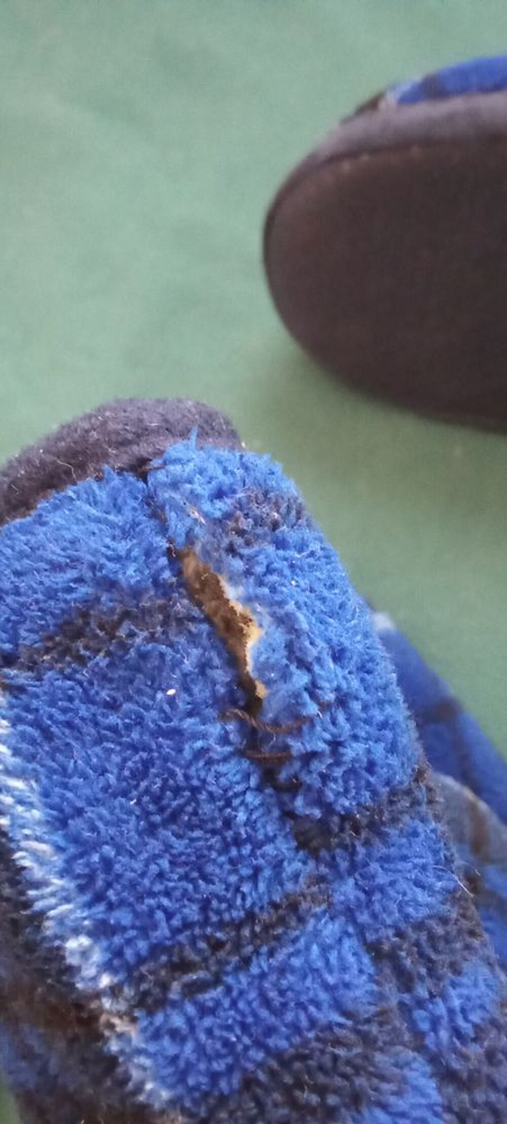 Chaussons pantoufles botillons homme Chaussures