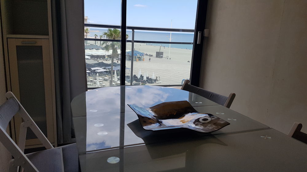   Agr�able T2 balcon, belle vue mer, centre Canet, 1e ligne. Languedoc-Roussillon, Canet Plage (66140)