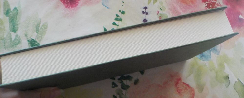 REPRODUCTION INTERDITE de Jean-Michel TRUONG France Loisirs Livres et BD