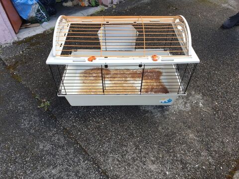 cage a lapin 40 Poisat (38)