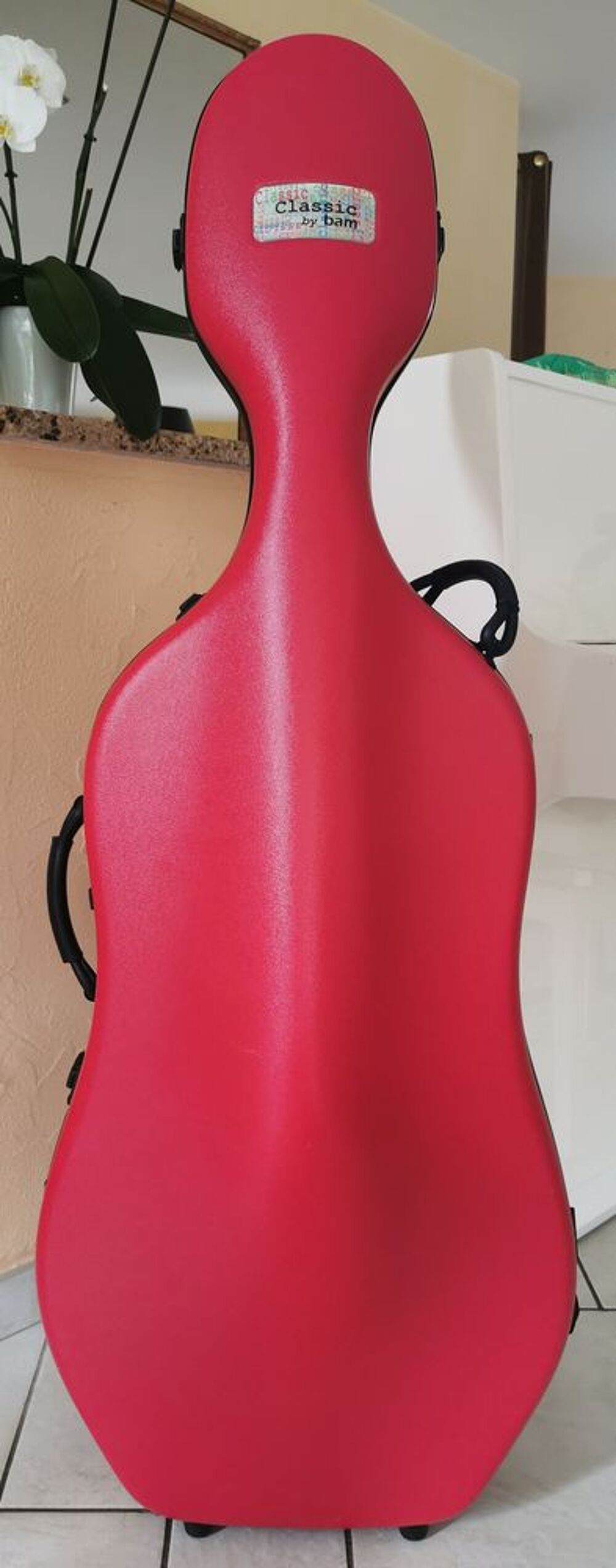 Violoncelle entier et &eacute;tui 6100€ Instruments de musique