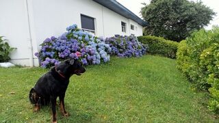  Colocation � louer 7 pi�ces 178 m�